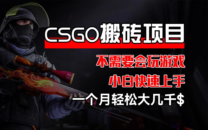 CSGO 装备搬砖项目，操作简单，不需要会玩游戏，小白也能快速上手，一个月轻松大几千 - 吾爱随笔资源网