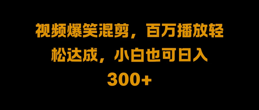 视频号零门槛！爆火视频搬运后二次剪辑，轻松达成日入 1000+ - 吾爱随笔资源网