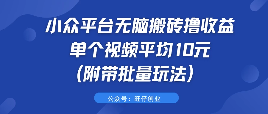 小众平台无脑搬砖撸收益，单个视频平均10元 (附带批量玩法） - 吾爱随笔资源网