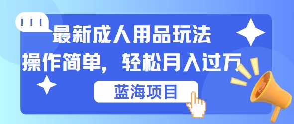 最新成人用品项目玩法，操作简单，蓝海项目轻松月入过万 - 吾爱随笔资源网