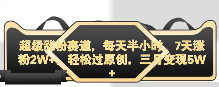 超级涨粉赛道，每天半小时，7天涨粉2W+，轻松过原创，三月变现5W+ - 吾爱随笔资源网