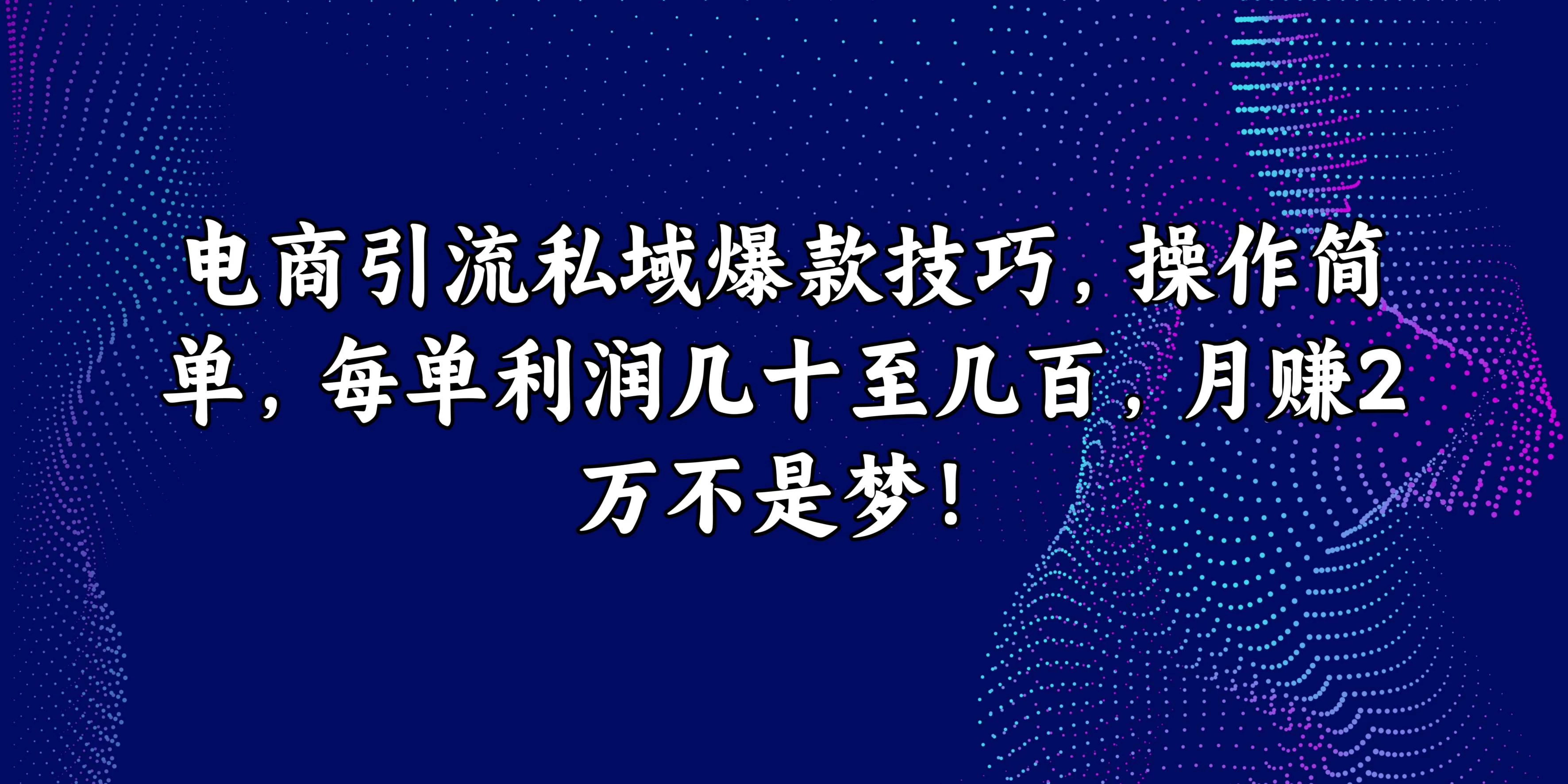 电商引流私域爆款技巧，操作简单，每单利润几十至几百，月赚2万不是梦！ - 吾爱随笔资源网