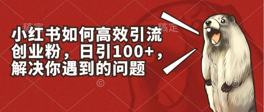小红书如何高效引流创业粉，日引100+，解决你遇到的问题 - 吾爱随笔资源网