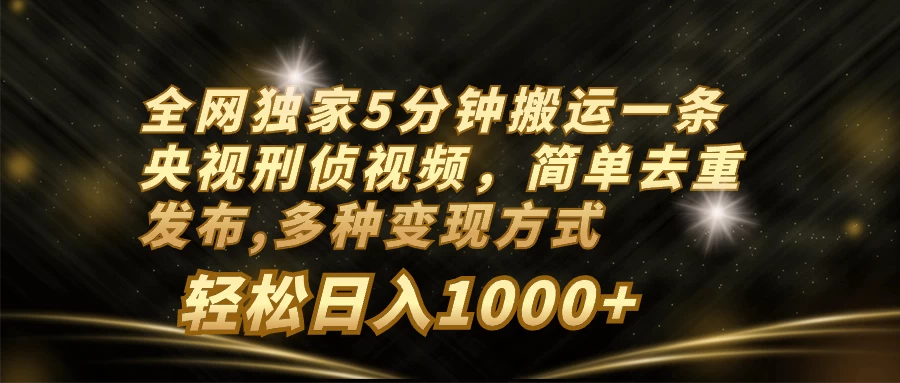 全网独家5分钟搬运一条央视刑侦视频，简单去重发布，多种变现方式，轻松日入1000+ - 吾爱随笔资源网