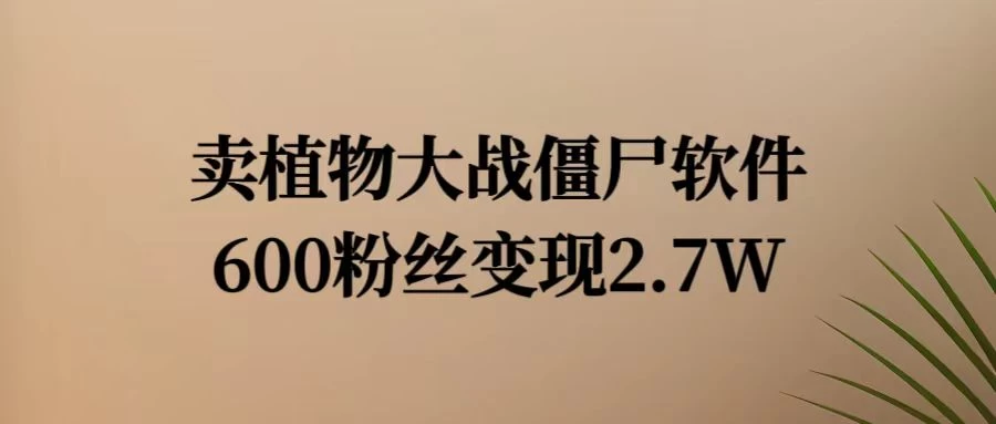 小红书怀旧游戏项目，卖游戏软件，600不到的粉丝变现2.7W - 吾爱随笔资源网