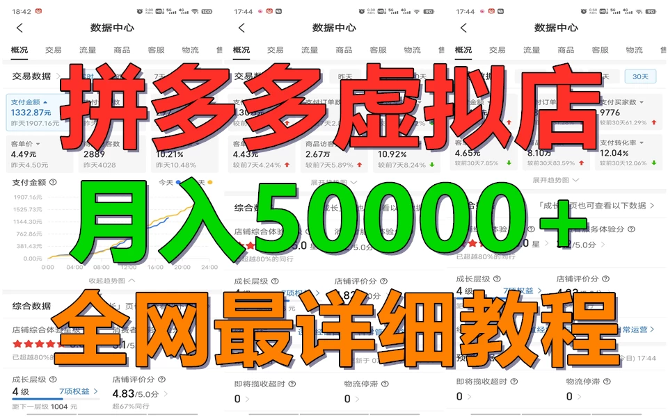 拼多多虚拟电商月入50000+你干你也行，暴利稳定长久，副业首选 - 吾爱随笔资源网