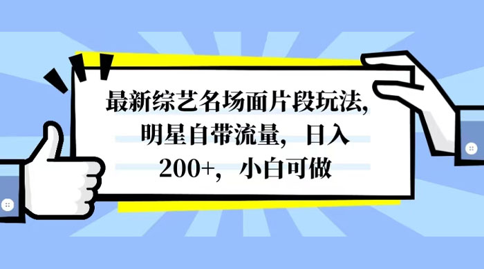 最新综艺名场面片段玩法，明星自带流量，日入200+，小白可做 - 吾爱随笔资源网