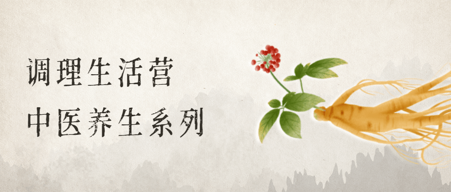 调理生活营：中医养生系列 - 吾爱随笔资源网