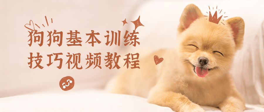 狗狗基本训练技巧视频教程 - 吾爱随笔资源网