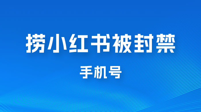 捞小红书被封禁手机号，小红书被封号禁言账号手机换绑 - 吾爱随笔资源网