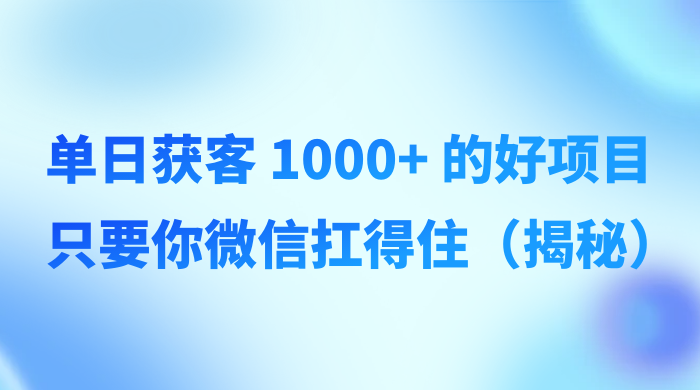 单日获客 1000+ 的好项目，只要你微信扛得住（揭秘） - 吾爱随笔资源网