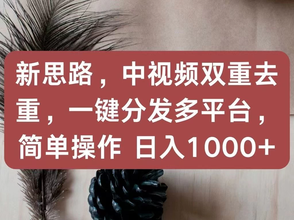 新思路，中视频双重去重，一键分发多平台，简单操作，日入1000+！快来试试吧！ - 吾爱随笔资源网