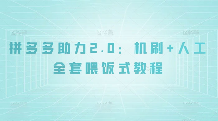 拼夕夕助力 2.0 新玩法：机刷+人工全套交付，喂饭式教程 - 吾爱随笔资源网