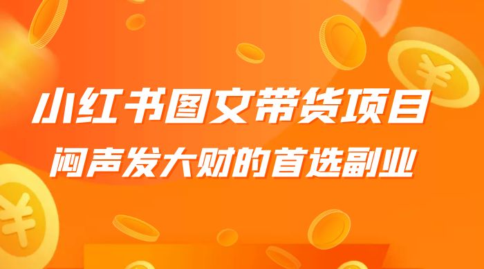 小红书图文带货项目：利润非常巨大，闷声发大财的首选副业 - 吾爱随笔资源网