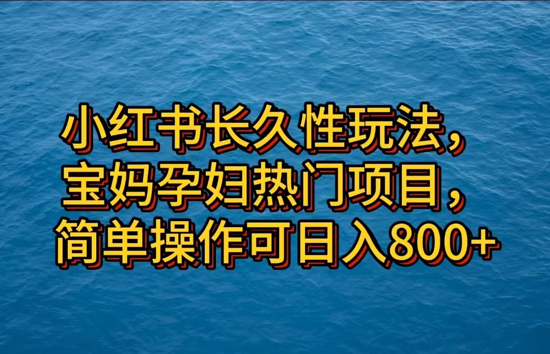 小红书长久性玩法，宝妈孕妇热门项目，简单操作可日入800+ - 吾爱随笔资源网