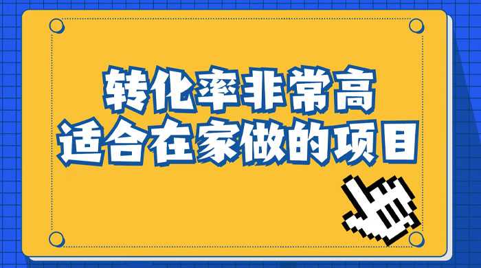小红书虚拟电商项目：从小白到精英（视频课程+交付手册） - 吾爱随笔资源网