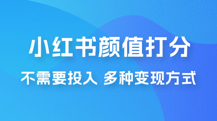 小红书颜值打分新玩法，不需要投入，适合所有人的一份副业，多种变现方式！ - 吾爱随笔资源网