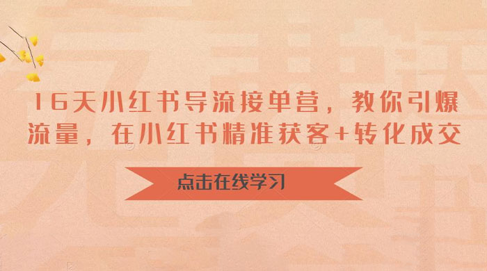 16 天小红书导流接单营：教你引爆流量，在小红书精准获客+转化成交 - 吾爱随笔资源网