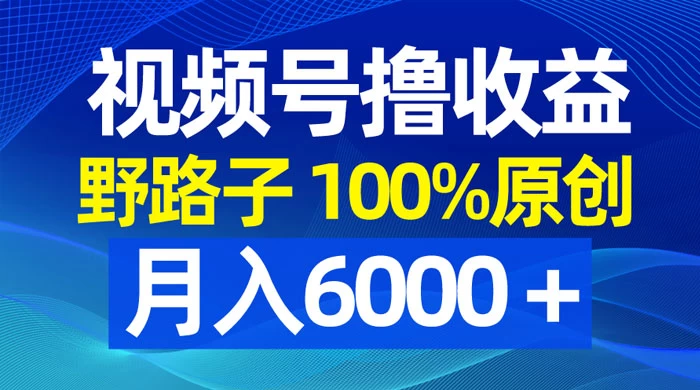 视频号野路子撸收益，100% 原创，条条爆款，月入 6000+ - 吾爱随笔资源网