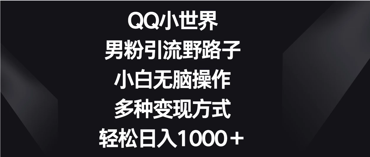 QQ小世界男粉引流野路子，小白无脑操作，多种变现方式轻松日入1000＋ - 吾爱随笔资源网