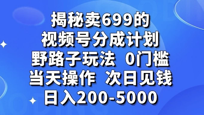 揭秘卖 699 的视频号分成计划野路子玩法，日入 200-5000，0 门槛，当天操作，次日见钱 - 吾爱随笔资源网