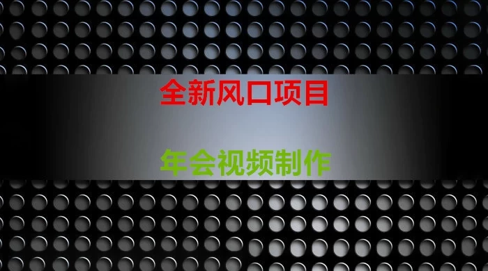 年会视频制作项目，全新风口 - 吾爱随笔资源网