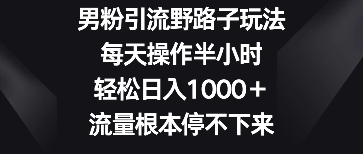 男粉引流野路子玩法，每天操作半小时轻松日入1000＋，流量根本停不下来 - 吾爱随笔资源网