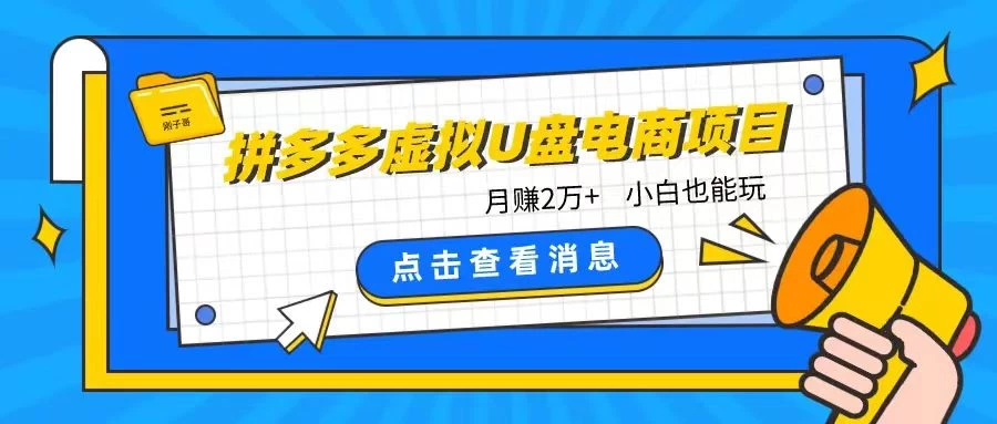 拼多多虚拟U盘电商红利项目：月赚2万+，新手小白也能玩 - 吾爱随笔资源网