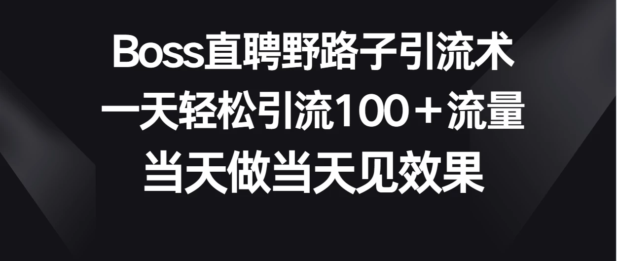 Boss直聘野路子引流术，一天轻松引流100+流量，当天做当天见效果 - 吾爱随笔资源网