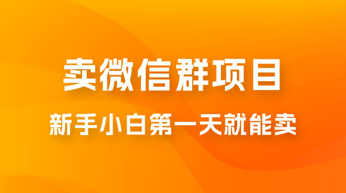 最新卖微信群项目玩法拆解：新手小白第一天就能卖，日入 300+ - 吾爱随笔资源网