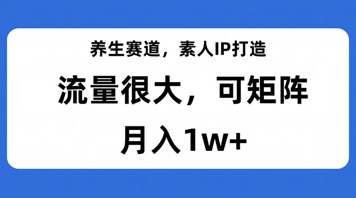 养生赛道，素人IP打造，流量很大，可矩阵，月入1w+ - 吾爱随笔资源网