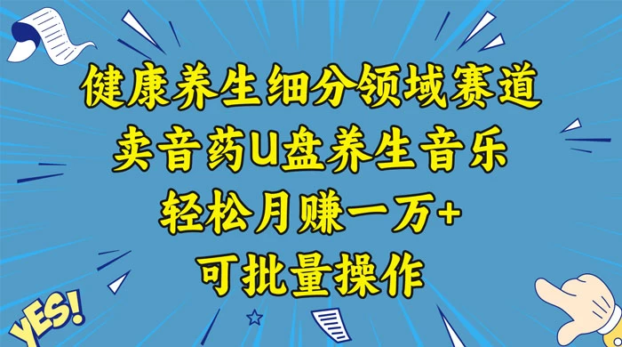 健康养生细分领域赛道，卖音药U盘养生音乐，轻松月赚一万+，可批量操作 - 吾爱随笔资源网