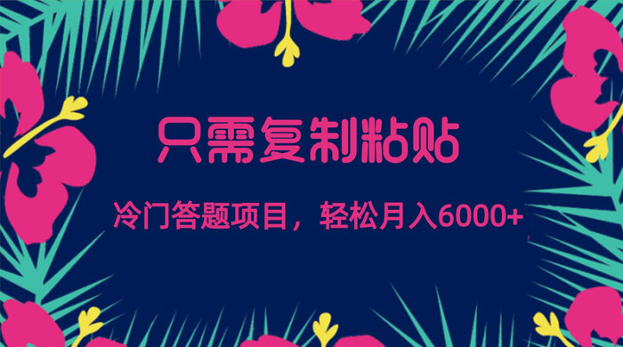 只需复制粘贴，冷门答题项目，轻松月入 6000 - 吾爱随笔资源网