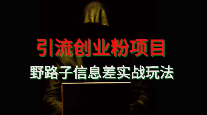 野路子信息差玩法实战教学，引流创业粉 - 吾爱随笔资源网