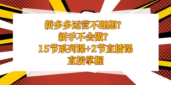 拼多多运营不理想？新手不会做？​15 节系列课+ 2 节直播课，直接掌握 - 吾爱随笔资源网