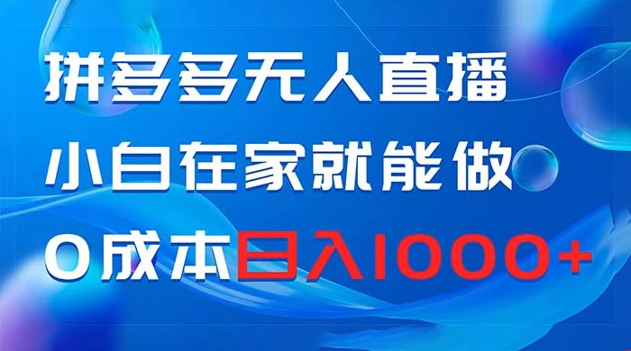 拼多多无人直播，小白在家就能做，0 成本日入 1000+ - 吾爱随笔资源网