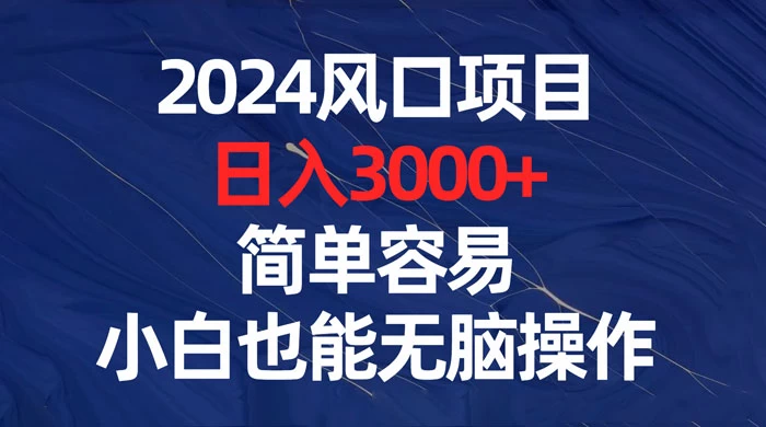 2024 风口项目，日入 3000+，简单容易，小白也能无脑操作 - 吾爱随笔资源网