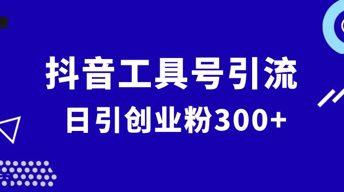 抖音工具号引流玩法，日引创业粉 300+ - 吾爱随笔资源网