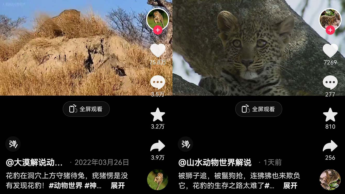 外面卖 1699 的国外纪录片解说：动物、美食、动画片解说，稳过中视频 - 吾爱随笔资源网