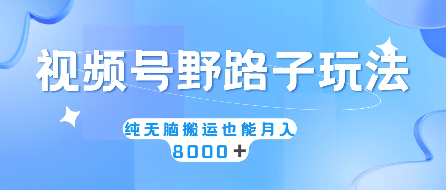 视频号野路子玩法,纯无脑搬运小白可做,月入8000+ - 吾爱随笔资源网