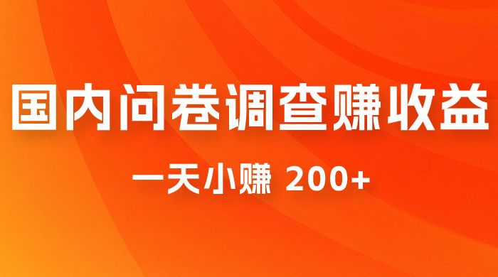 国内问卷调查赚收益，一天小赚 200+，小白随便上手 - 吾爱随笔资源网