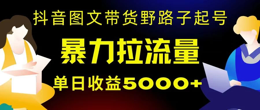 抖音图文带货暴力起号，单日收益 5000+，野路子玩法，简单易上手，一部手机即可 - 吾爱随笔资源网