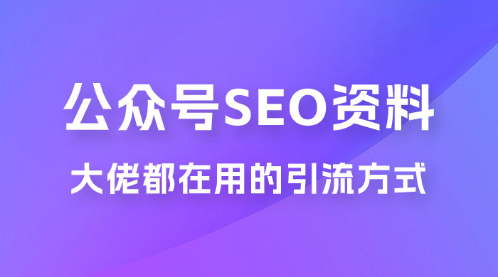 公众号 SEO 虚拟资料，操作简单，日入 500+，可批量操作 - 吾爱随笔资源网