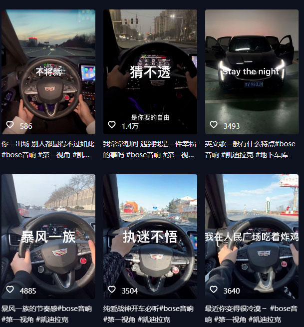 图片[2] - 抖音开车视频项目：0基础操作，每天五分钟，月入过万 - 吾爱随笔资源网