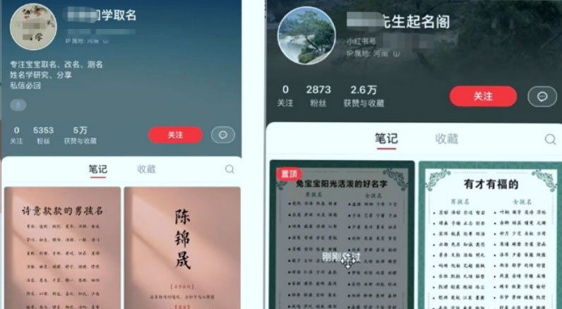 冷门暴利项目：给宝宝起名 一单 200+「教程+工具」 - 吾爱随笔资源网