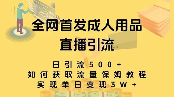 成人用品直播引流获客暴力玩法，单日引流500+，变现 3w+，保姆级教程 - 吾爱随笔资源网