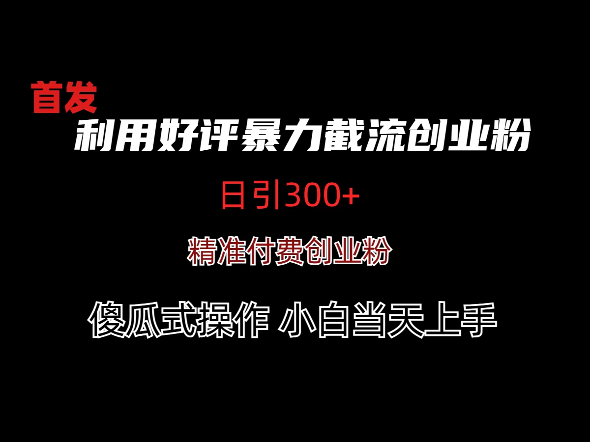 利用好评暴力截流付费创业粉，无需工具，简单且暴力的一个玩法 - 吾爱随笔资源网
