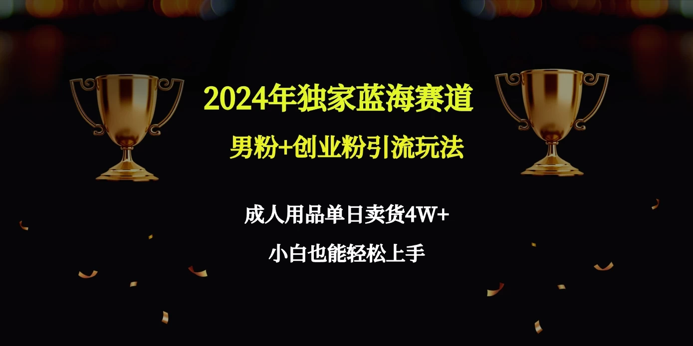 2024独家蓝海赛道，男粉＋创业粉引流玩法。 - 吾爱随笔资源网