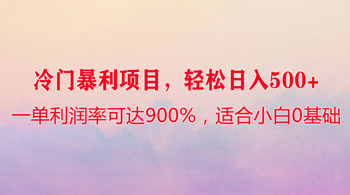 冷门暴利项目，一单利润率可达 900%，轻松日入 500+，适合小白 0 基础 - 吾爱随笔资源网