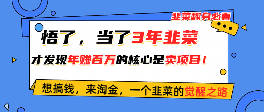 (10759期)悟了,当了3年韭菜,才发现网赚圈年赚100万的核心是卖项目,含泪分享! - 吾爱随笔资源网